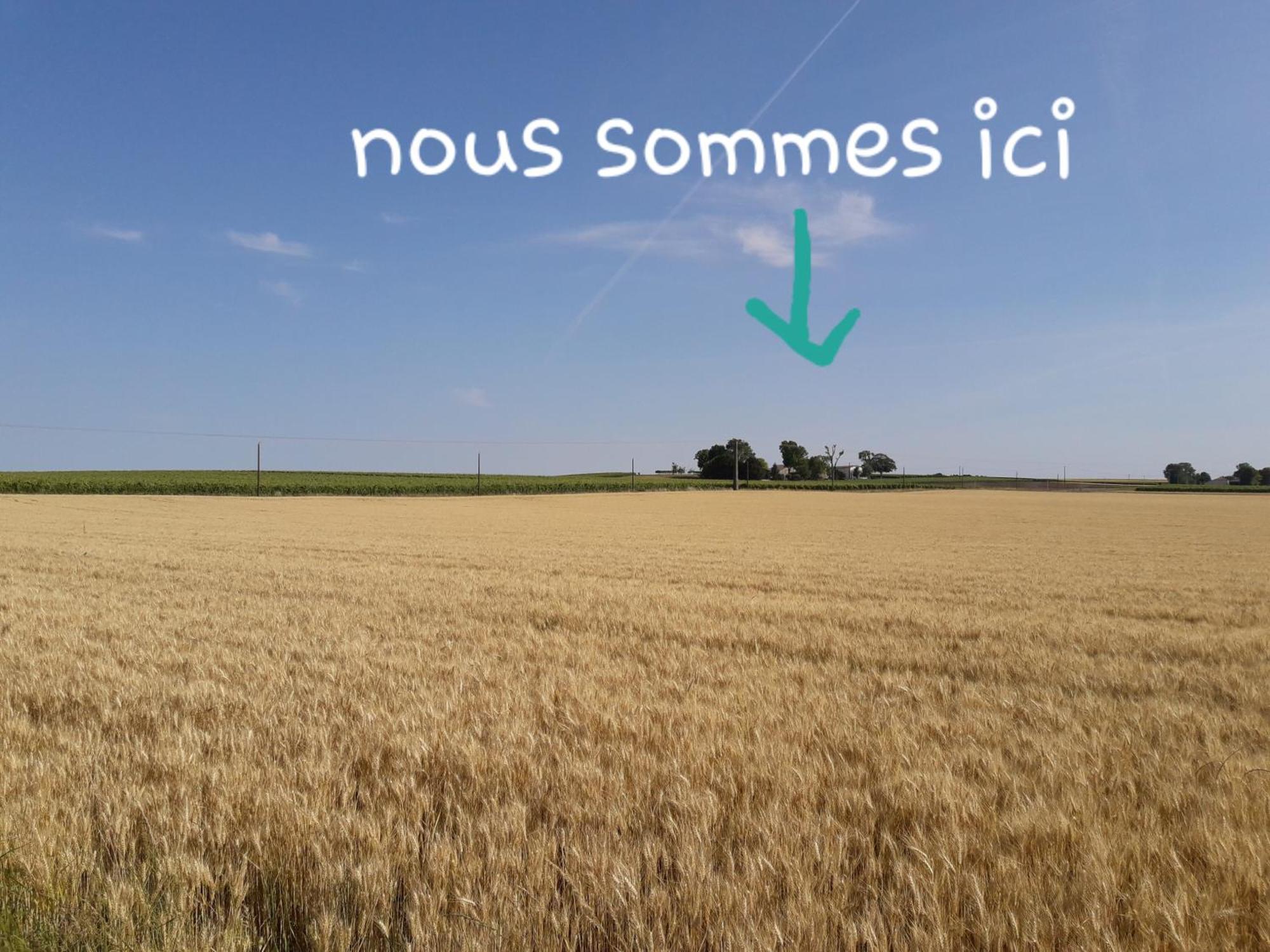 Apartamento La Metairie Au Milieu Des Vignes Réaux Exterior foto