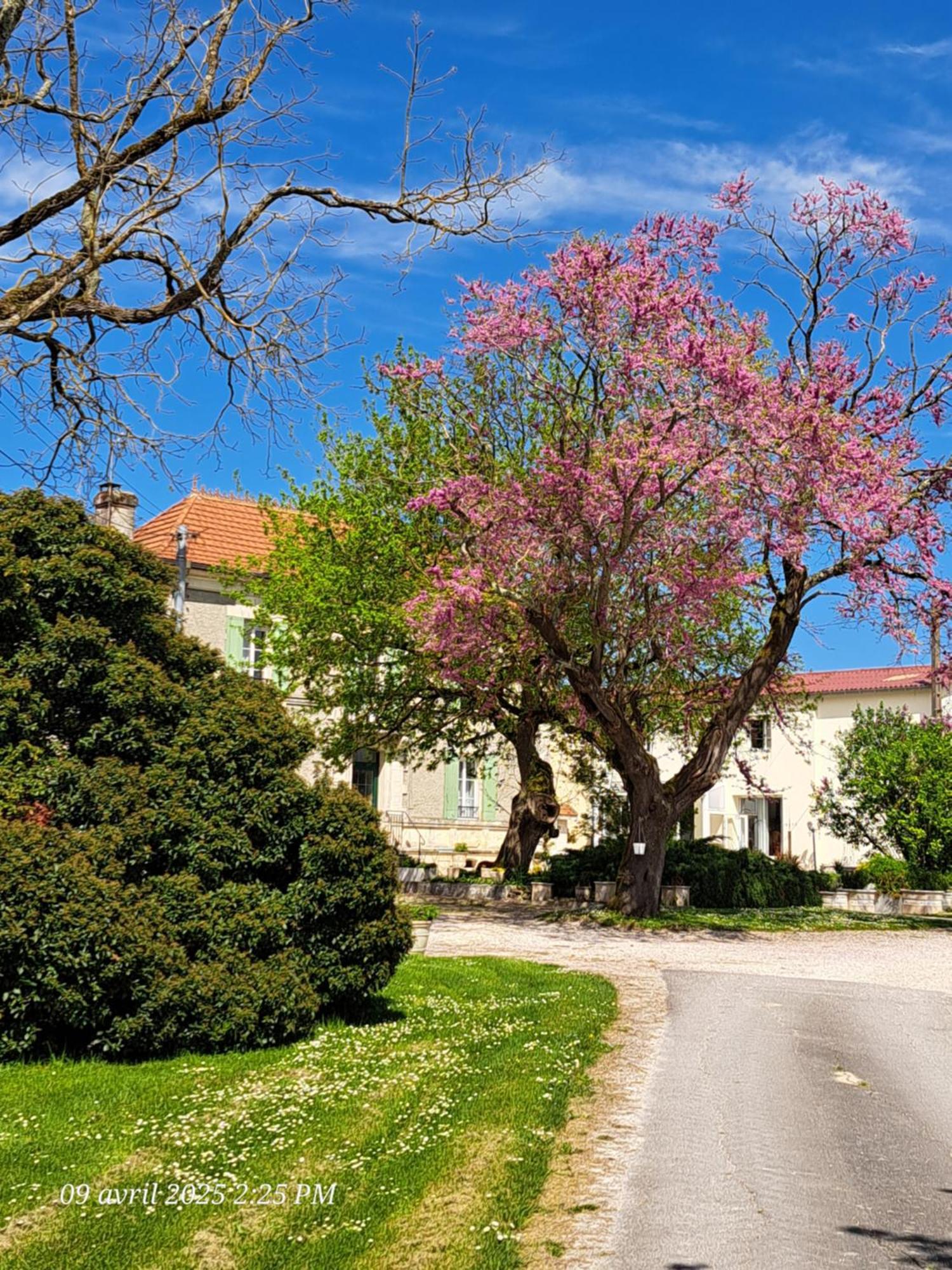 Apartamento La Metairie Au Milieu Des Vignes Réaux Exterior foto